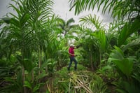 Costa Rica