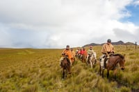 Ecuador-Dec-21-2021-05-03-11-58-PM